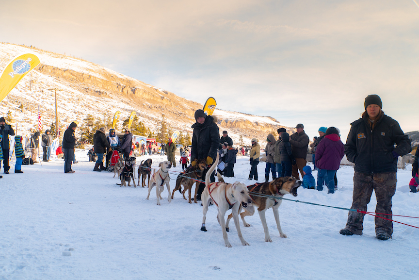 Wyoming Stage Stop Sled Dog Race - a winter tradition. Photo Kirk_Rasmussen - WREA - Wyoming